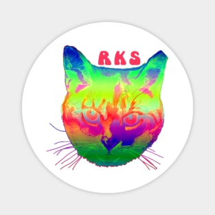 rainbow kitten 4 Magnet